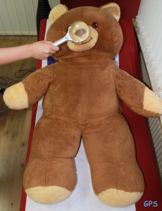 Teddy bei der Hautkrebsvorsorge