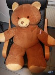 Teddy bei der Reiseimpfberatung